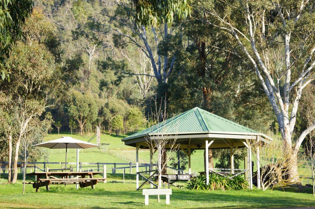 Halls On Falls Homestead Strath Creek Экстерьер фото